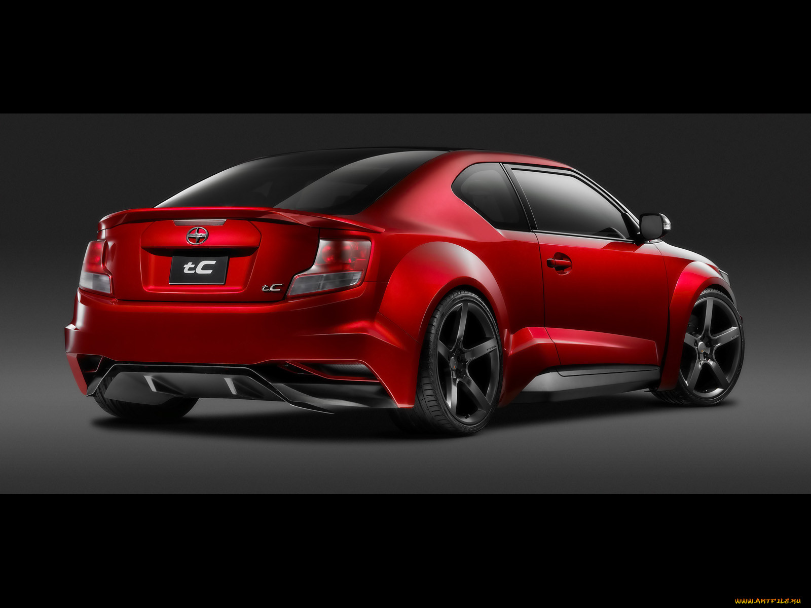 , scion